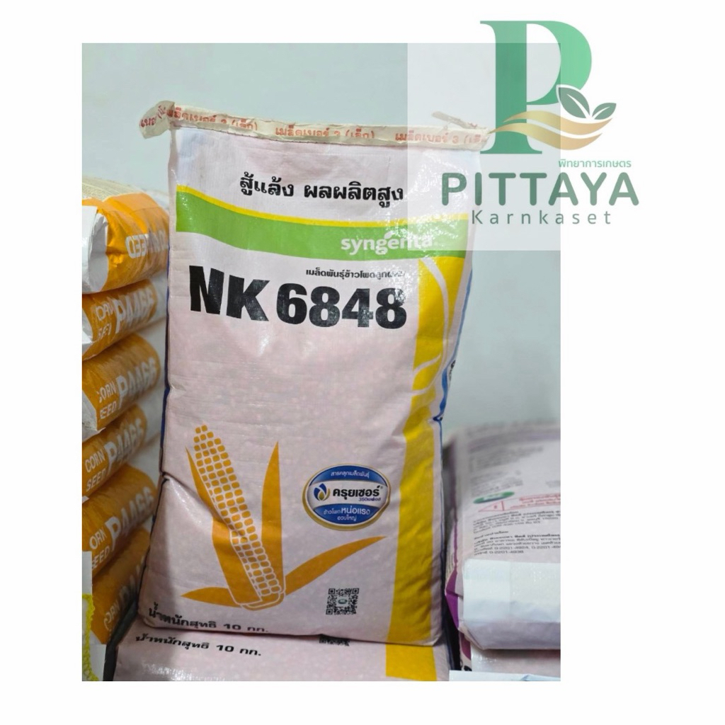 ข้าวโพดเอ็นเค 6848 ( NK 6848 ) ขนาด 10 กิโลกรัม - ทนแล้ง น้ำหนักดี ปลูกถี่ได้
