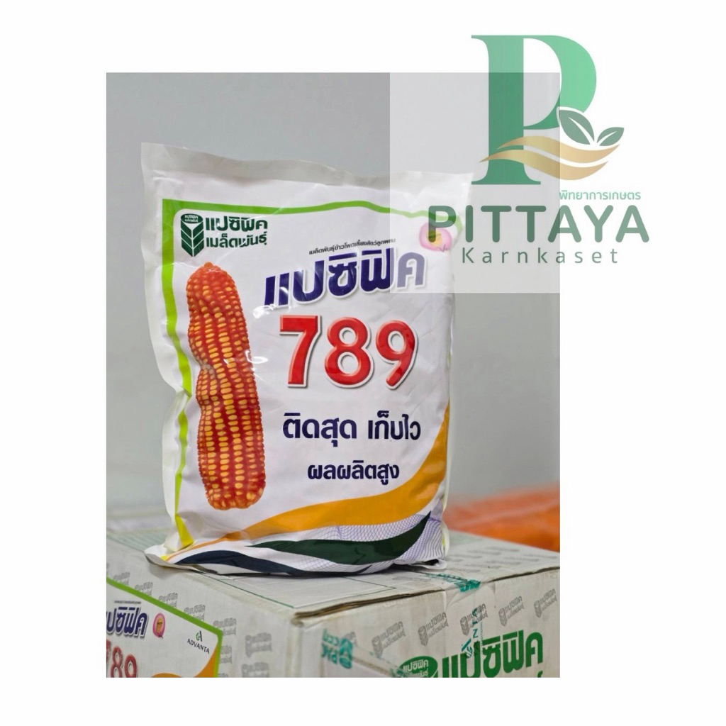 ข้าวโพดแปซิฟิค 789 เมล็ด 3 หุน ขนาด 5 กิโลกรัม ติดสุดปลายฝัก ผลผลิตต่อไร่สูง