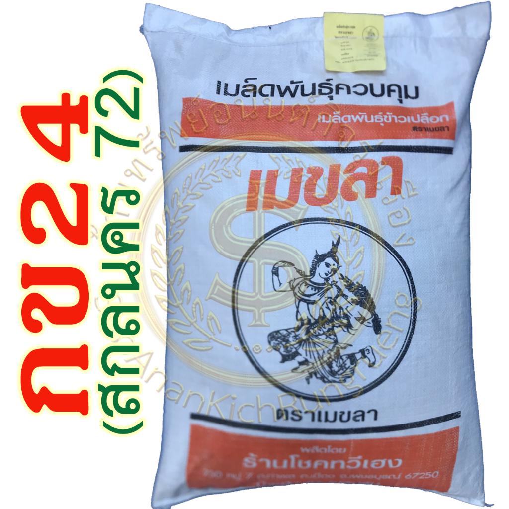 เมล็ดพันธุ์ข้าว กข24 (สกลนคร 72) บรรจุ 25 กิโลกรัม (เมขลา)