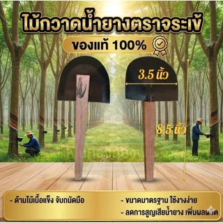 12 อัน ไม้กวาดน้ำยางพารา ตราจระเข้ ของแท้ 100%