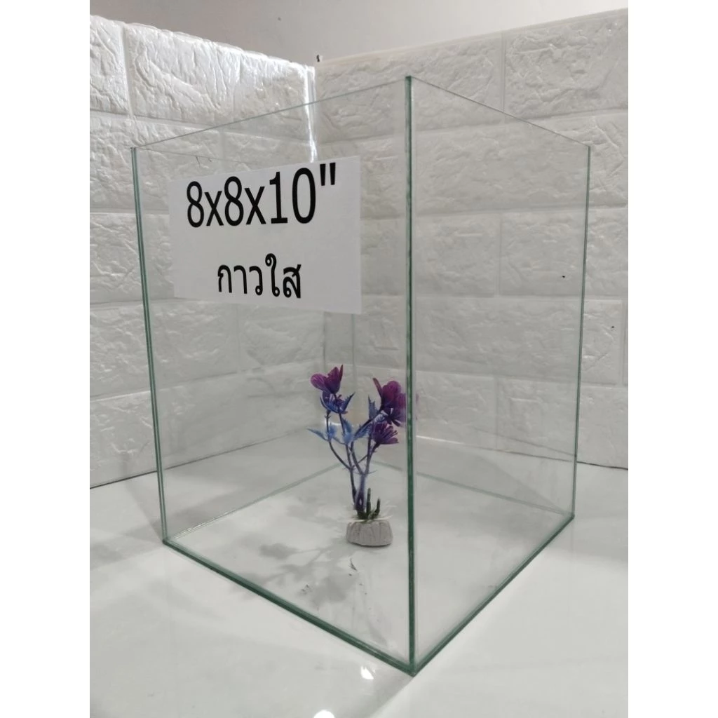โหลปลากัด 8x8x10 นิ้ว กระจกหนา 3 มิล สำหรับปลากัดและสัตว์เล็ก พร้อมกาวใสและกาวดำ  รับประกันสินค้า thumbnail 5