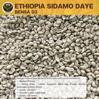 สารกาแฟ Ethiopia Sidamo Daye Bensa G2 อราบิก้า/Washed สั่งซื้อเกิน 20kg. ทักแชท เมล็ดกาแฟดิบ