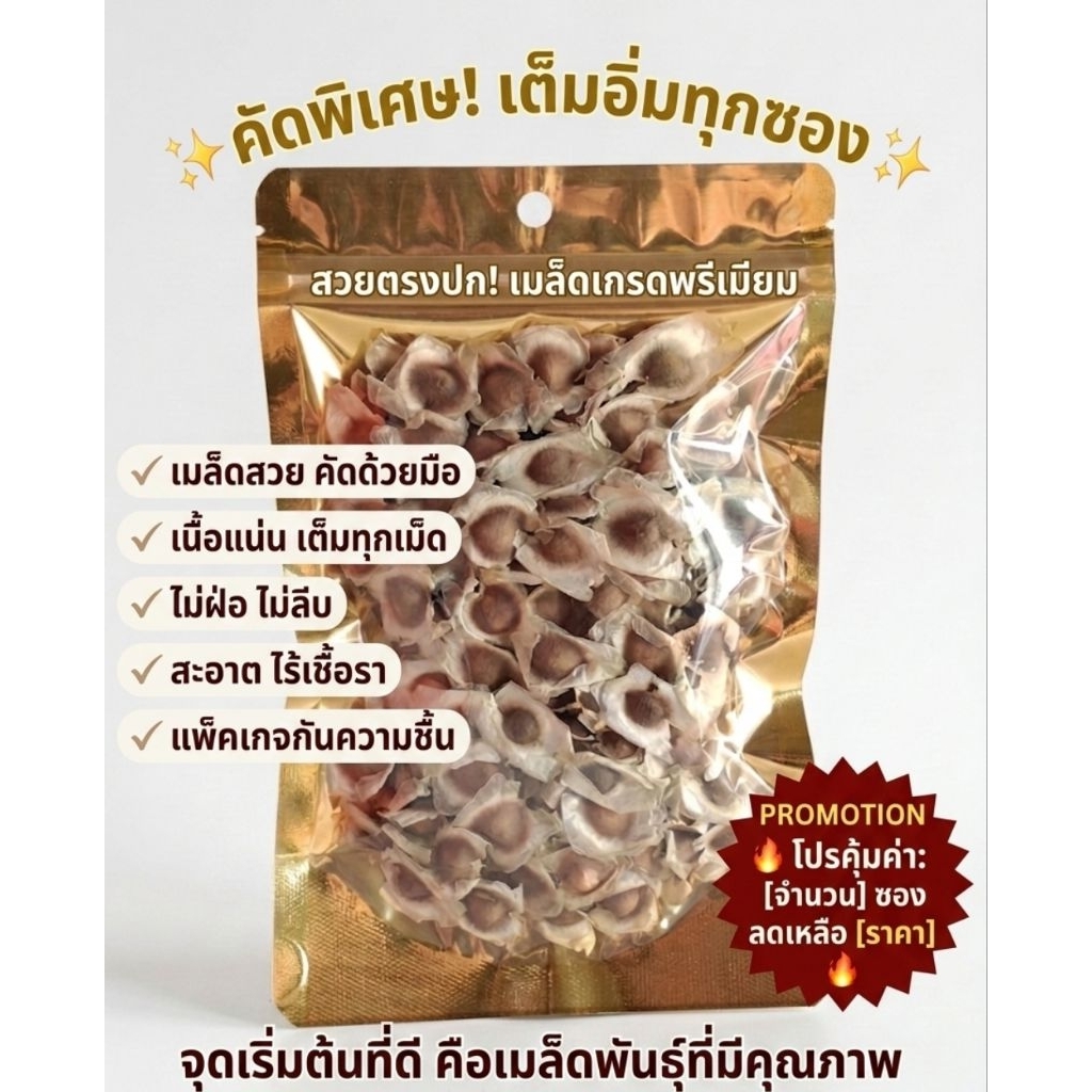 เมล็ดมะรุมแห้ง,เม็ดมะรุมแห้ง100% คัดด้วยมือ(ขนาด100กรัม) เมล็ดสวย เต็มทุกเม็ด ตากแห้งธรรมชาติ