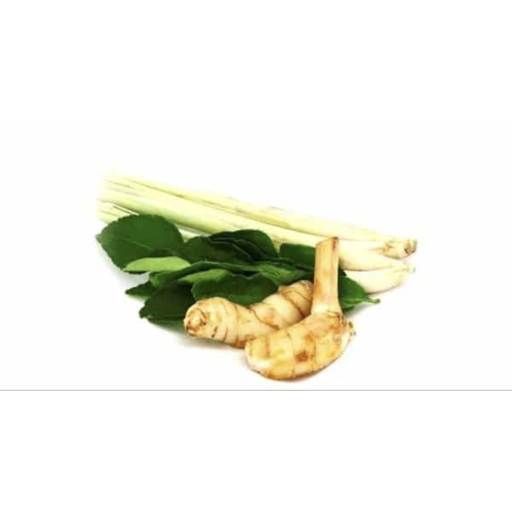 [สินค้าพร้อมจัดส่งด่วน] เครื่องต้มยำ