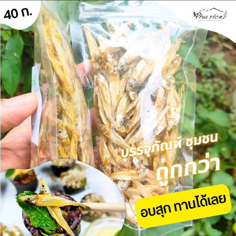 Phurice ปลาซิวน้ำจืด ซองแบบประหยัด อบสุกไม่ทอด พร้อมทาน มาตรฐาน อย.ปลาซิวแก้ว