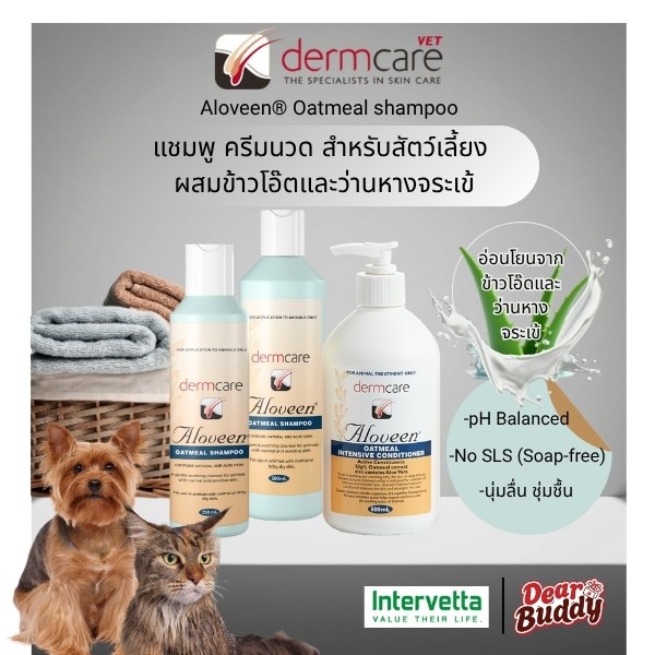 DermCare Aloveen แชมพูและครีมนวด สูตรข้าวโอ๊ตและอโลเวร่า อ่อนโยนพิเศษ บำรุงผิวและเส้นขน 🐶🐱