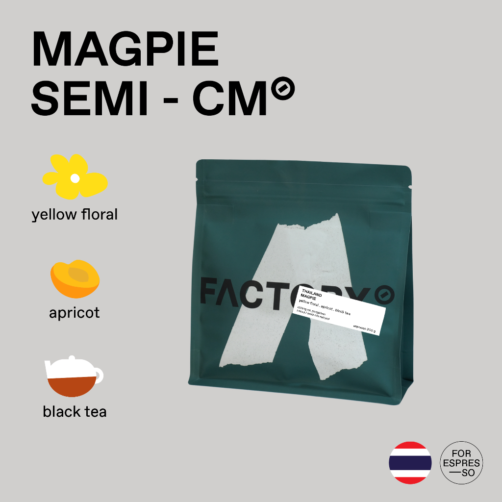Factory Coffee เมล็ดกาแฟ Pangkhon - Magpie l Semi-CM Natural Process (บรรจุ200g)