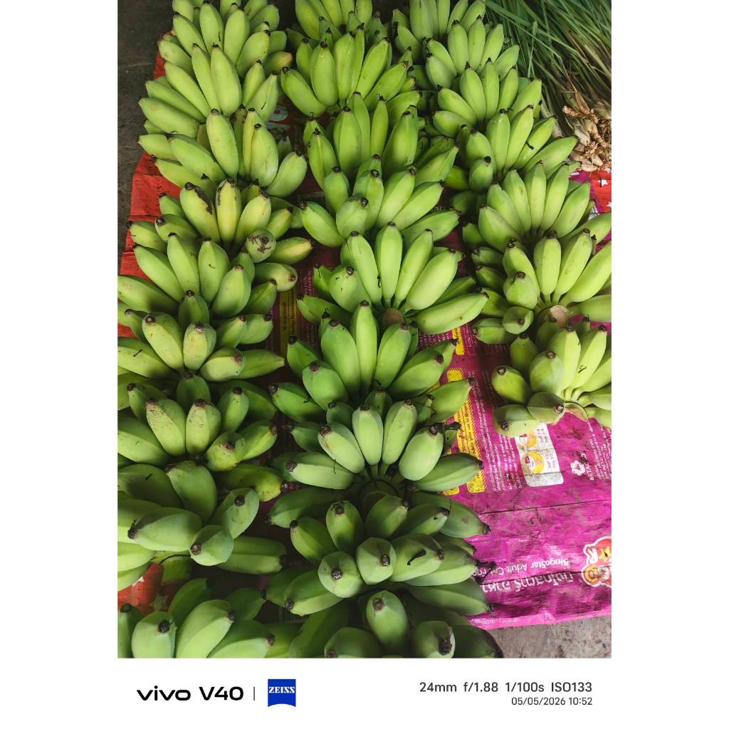 กล้วยน้ำว้า พันธุ์มะลิอ่อง เนื้อเหนียวนุ่ม ตัดสดใหม่จากสวน 3 หวี 100บาท