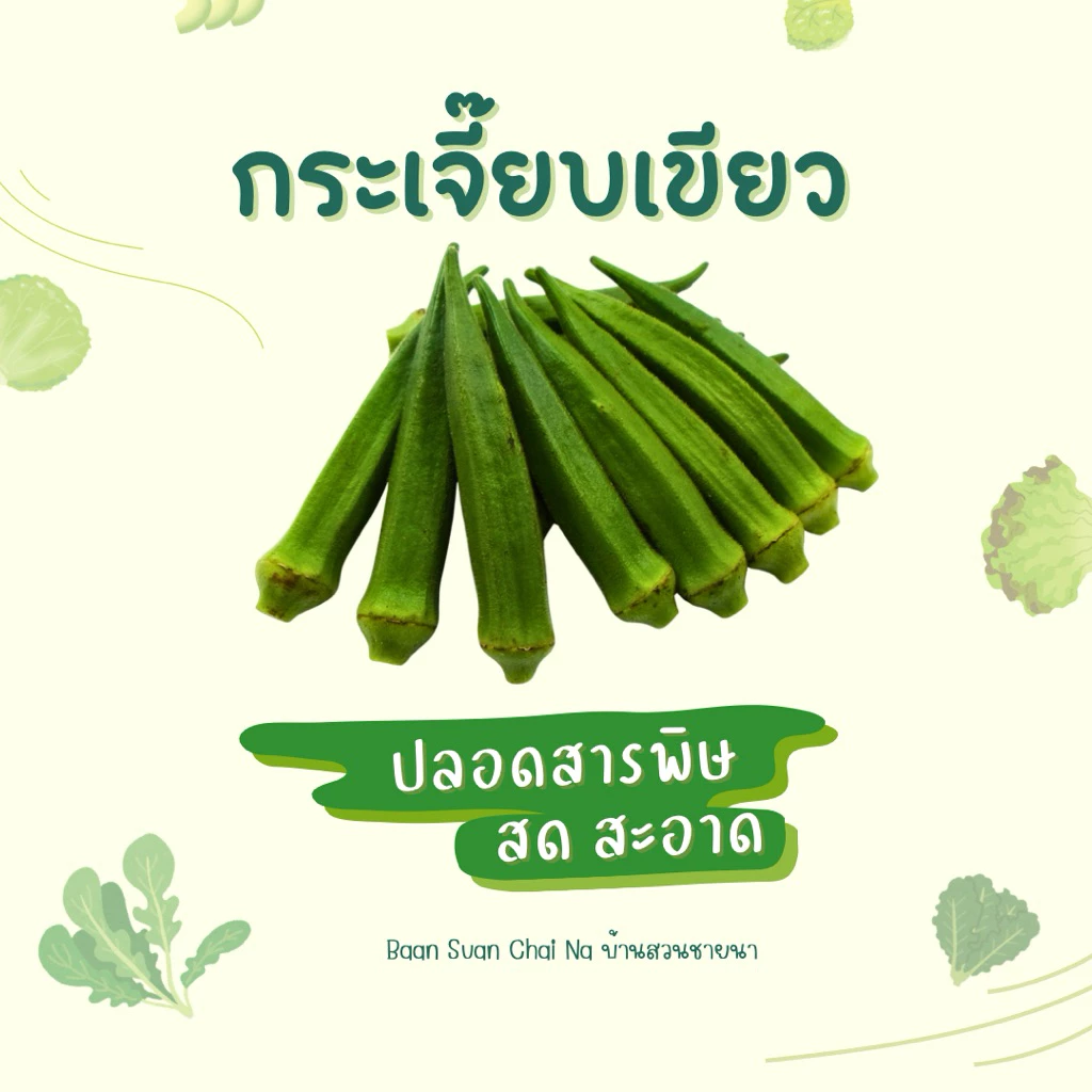 🥬 กระเจี๊ยบเขียว 1 กิโลกรัม ✨ สด ใหม่ ส่งตรงจากสวนทุกวัน