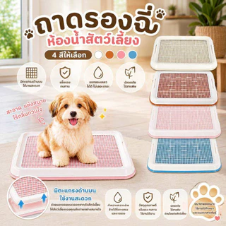 Thai.Th ห้องน้ำสุนัข แผ่นรองฉี่สุนัข ถาดรองฉี่สุนัข ห้องน้ำสัตว์เลี้ยง ถาดรองฉี่สัตว์เลี้ยง #CF-T1(มีราคาส่ง)