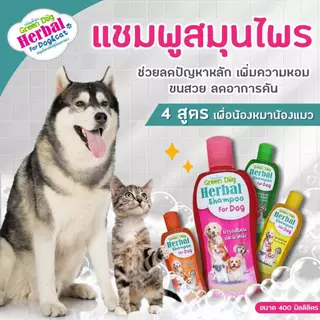 แชมพูสมุนไพรเพื่อสุนัข Green dog herbal shampoo for dog