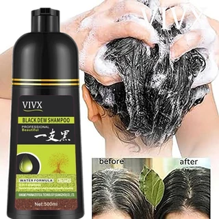 VIVX แชมพูปิดผมหงอก hair dye Shampoo 3in1 ย้อม บำรุง ปิดผมขาว แชมพูปิดผมขาว 500ml สมุนไพร หยุดหงอก ไม่ต้องย้อมแค่สระ