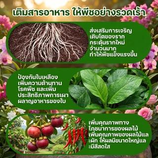 【GreenThumb】ปุ๋ยฮัวตัวตัว 2 สูตร 250 กรัม ปุ๋ยอเนกประสงค์สำหรับไม้ดอกไม้ประดับ เร่งดอก เร่งผล ให้ดอกบานนานขึ้น