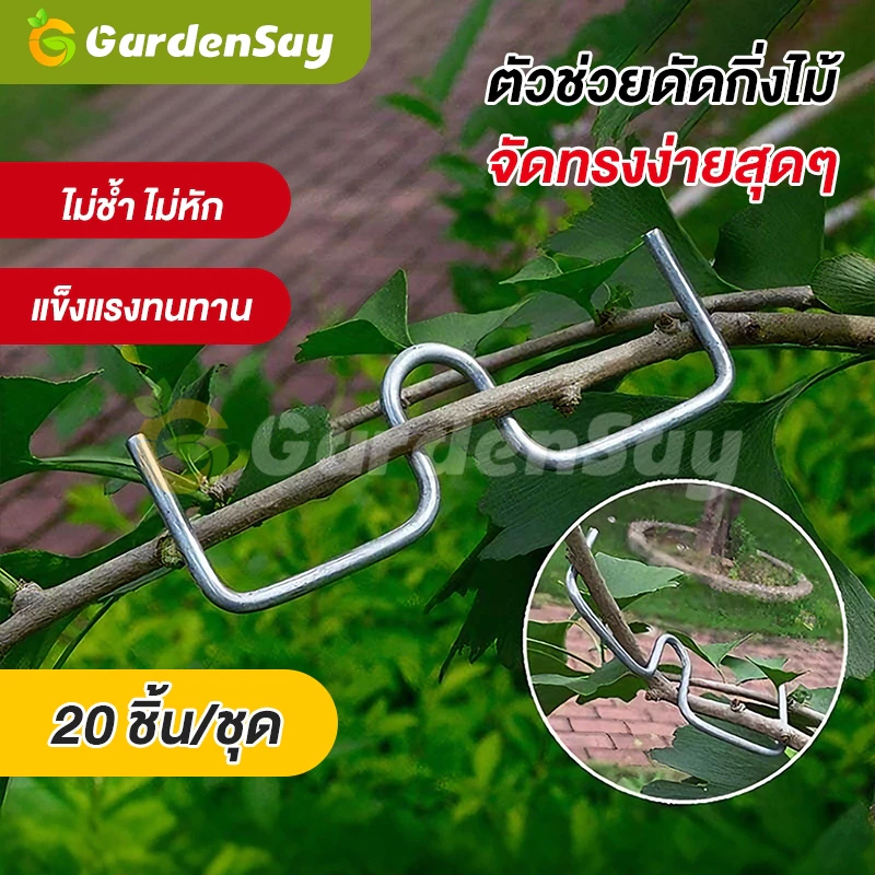 ที่ดัดกิ่งไม้ รูปตัว M อุปกรณ์ดัดกิ่งต้นไม้ ลวดดัดกิ่ง จัดทรงพุ่มไม้ ผลไม้ บอนไซ แข็งแรง ทนทาน ไม่เป็นสนิม (มี 3 ขนาด)