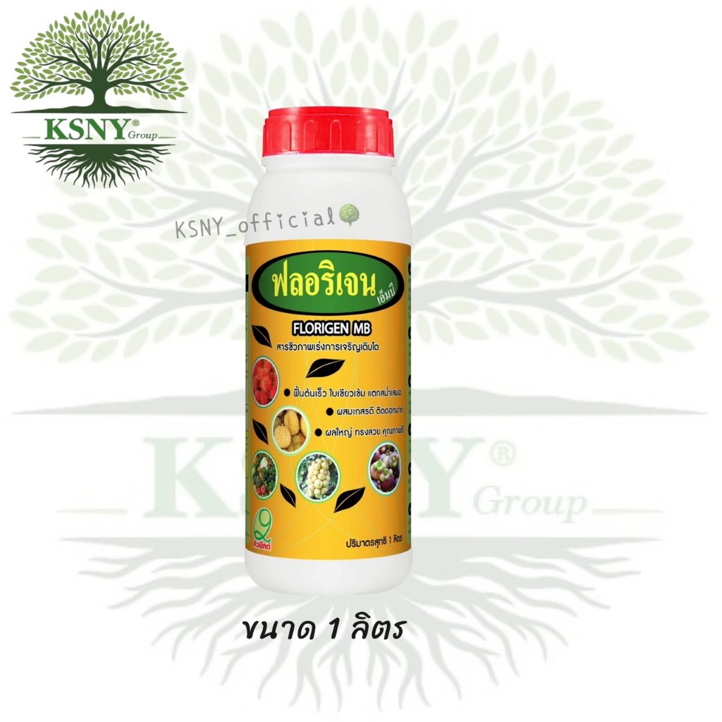 ฟลอริเจน เอ็มบี (ฟื้นต้นเร็ว ใบเขียวเข้ม สม่ำเสมอ )ขนาด 1 ลิตร