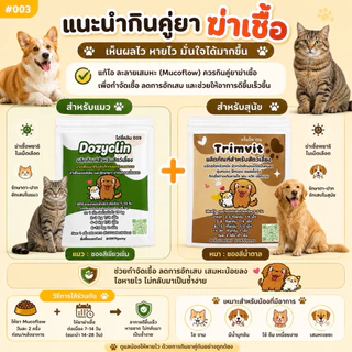 mucoflow เสริมอาหาร สุนัข แมว ไอ หวัด จาม น้ำมูกข้น (สีเหลือง)