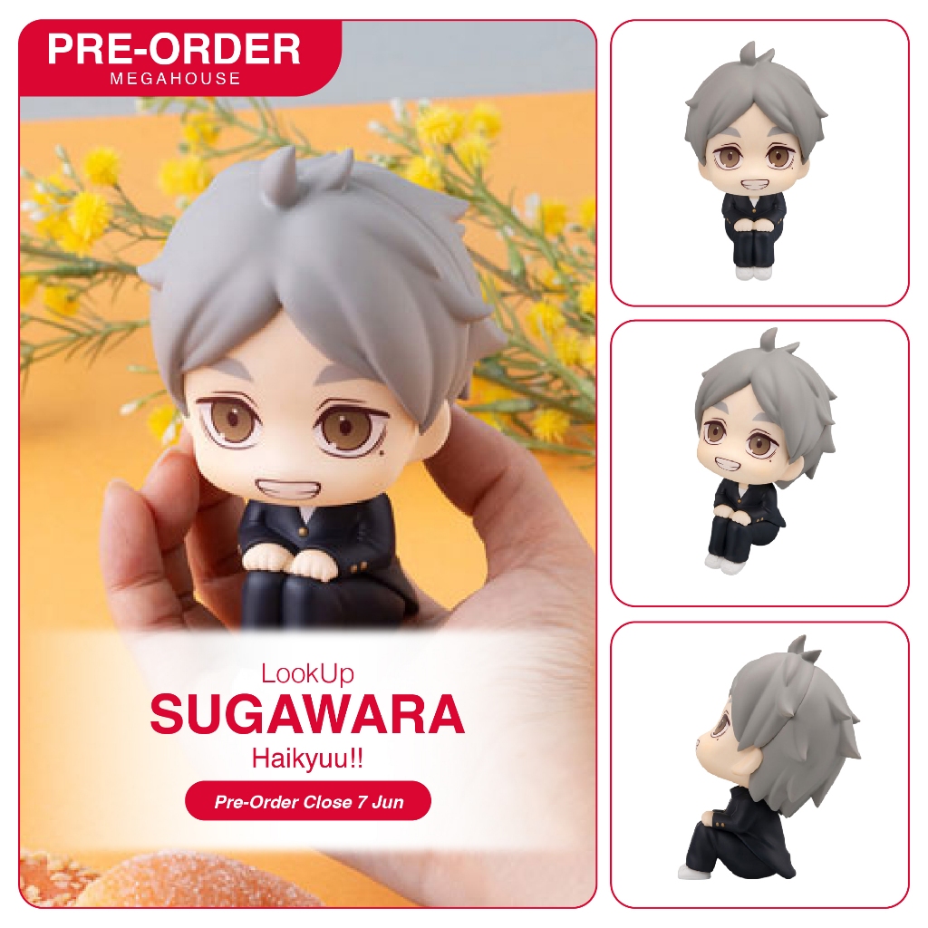 [PreOrder] LookUp - Haikyuu!!_Koshi Sugawara