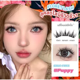 COD FLORÈTLASH ขนตาปลอมไม่ต้องใช้กาว Puppy สไตล์ ลุคเกาหลี ธรรมชาติ ติดง่าย มือใหม่ ติดทน ใช้ซ้ำได้