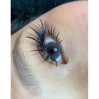 ขนตาเส้นต่อเส้น0.07 Camellia LC LB , LJ Doyin Snow Eyelash ขนตามีกาวจับช่อไม่แตก