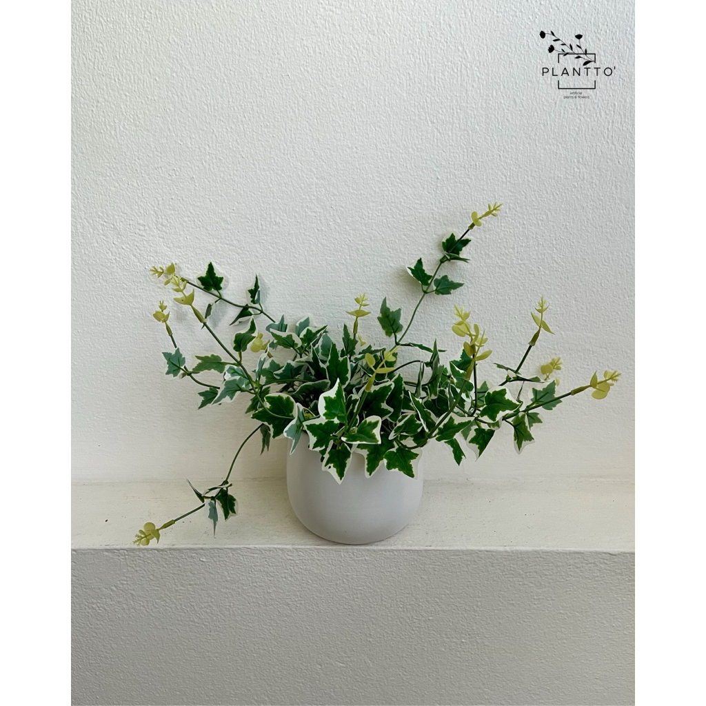 ต้นไม้ปลอม ไอวี่ด่าง (Variegated Ivy) กระถางเซรามิก 12 cm สูงรวมราว 20 cm