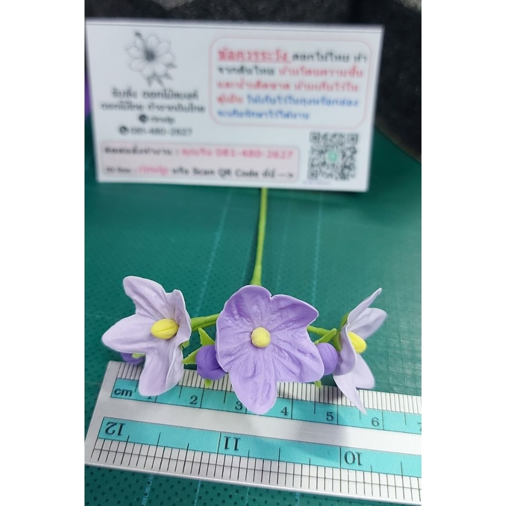 💜ดอกมะเขือ สีขาว ช่อดอกมะเขือ  ทำจากดินไทย ช่อ ละ 49 บ. คะ