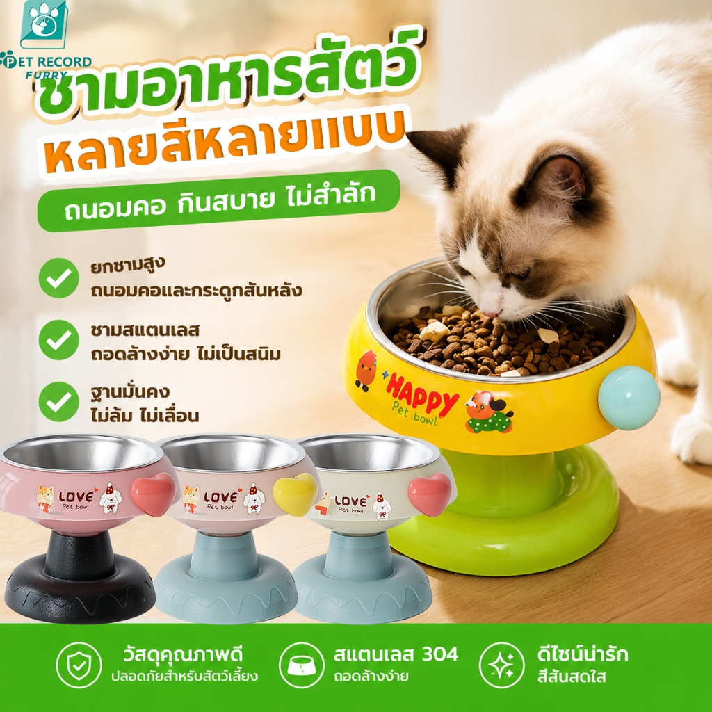 【Pet Record】 ชามอาหารสัตว์เลี้ยง สแตนเลสยกสูง ถอดล้างง่าย มียางกันลื่น สำหรับแมวสุนัข ลายน่ารัก