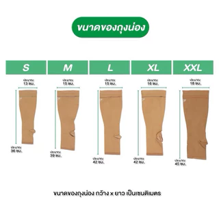 ถุงน่องเส้นเลือดขอดAD ระดับ 2 *วัดไซส์ก่อนสั่งซื้อ ถุงน่องซัพพอร์ต เส้นเลือดขอด สีเนื้อ 1คู่ แบบสั้น Dynamic