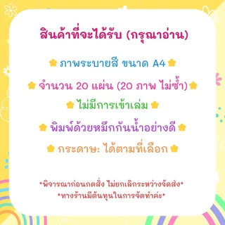 ภาพระบายสีมันดาลา สำหรับผู้ใหญ่และเด็ก ชุด "Doodle Cat Mandalas" / 20 แผ่น / เลือกกระดาษได้