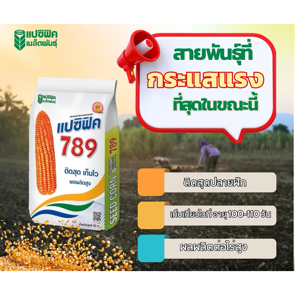 เมล็ดพันธุ์ข้าวโพด แปซิฟิค 789 4หุน 5กิโลกรัม ฝักใหญ่ ติดเมล็ดสุดถึงปลายฝัก แกนเล็ก เมล็ดลึกสีส้มเข้
