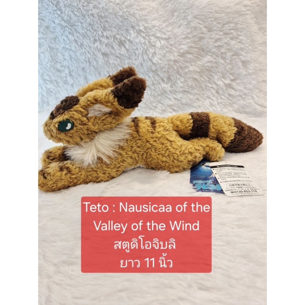 Teto : Nausicaa of the Valley of the Wind สตูดิโอจิบลิ