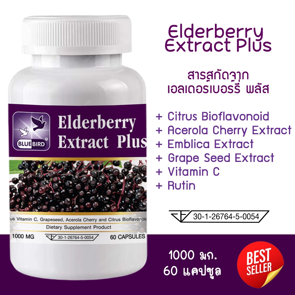 สารสกัดจากเอลเดอร์เบอร์รี่ พลัส Elderberry Extract Plus ตรา บลูเบิร์ด ขนาด 1000 มิลลิกรัม 60 แคปซูล