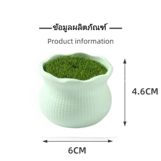 กระถางดอกไม้พลาสติก ชุดกระถางปลูกไม้ DIY กระถางดอกไม้ขนาดเล็ก ลวดกำมะหยี่ ไหมพรม สำหรับงานประดิษฐ์