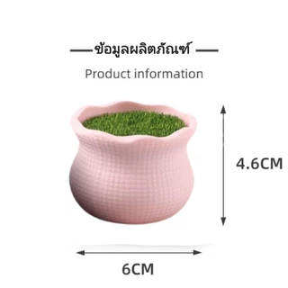 กระถางดอกไม้พลาสติก ชุดกระถางปลูกไม้ DIY กระถางดอกไม้ขนาดเล็ก ลวดกำมะหยี่ ไหมพรม สำหรับงานประดิษฐ์