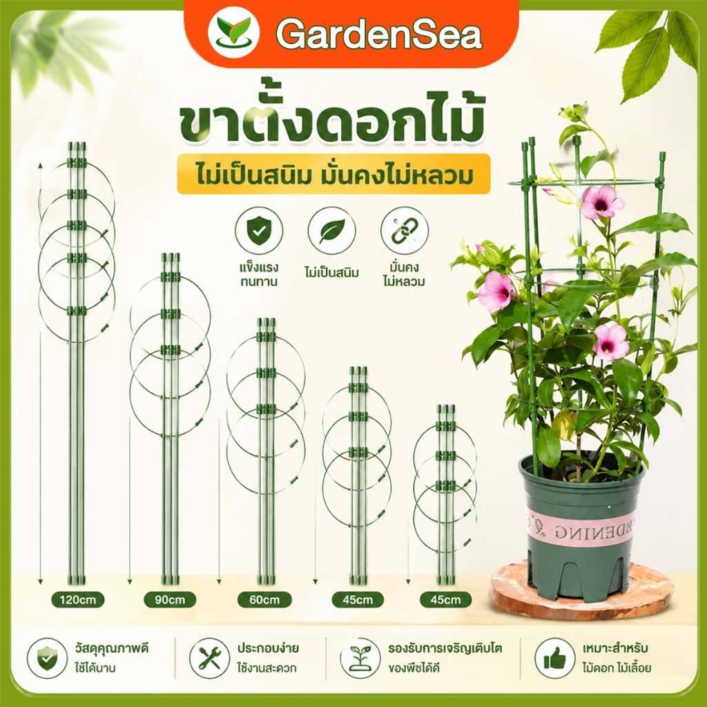 【COD】กรงพืช โครงเถาวัลย์ เสามะเขือเทศ ซุ้มไม้ โครงปลูก อุปกรณ์สำหรับพืชไม้เลื้อย45/60/75/90/120ซม จัดทรงต้นไม้ ไม้เลื้อย