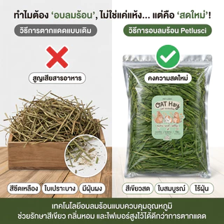 หญ้าโอ้ตอบลมร้อน Oat Hay 250g คัดเกรดพรีเมี่ยม หอมเขียวนุ่มแสนอร่อยมีวิตามินเอสูง อาหารสัตว์เล็ก
