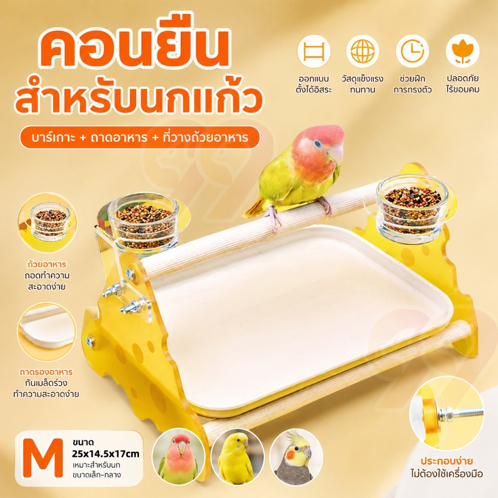 99PET คอนยืนนกแก้ว พร้อมถาดรอง + ถ้วยอาหาร ถอดล้างง่าย แข็งแรง ทนทาน สำหรับนกขนาดเล็ก-กลาง