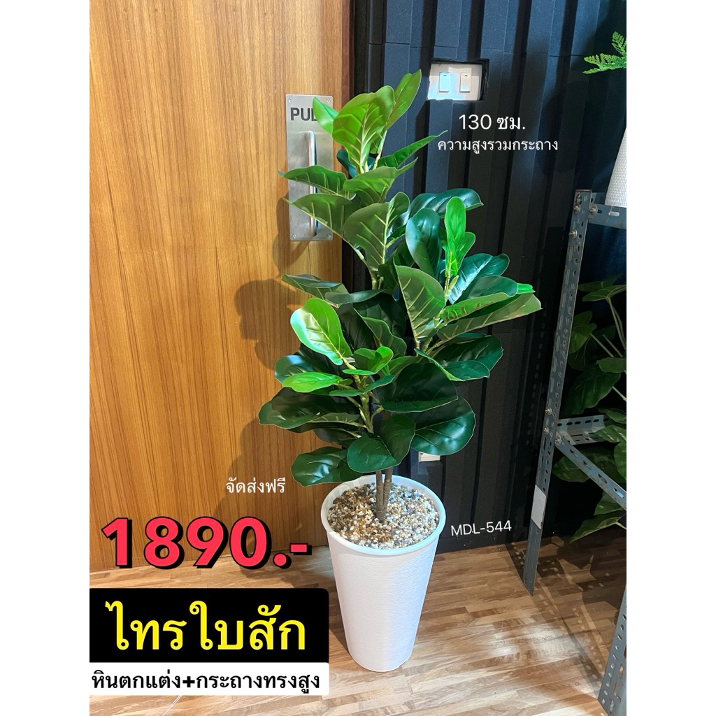 ไทรใบสักปลอมพร้อมกระถางทรงสูงและหินตกแต่ง