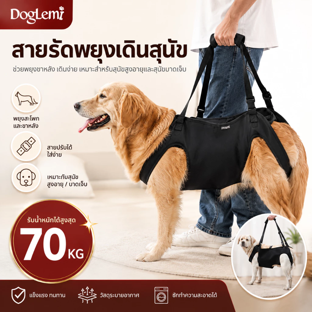 【Doglemi】สายรัดพยุงเดินสุนัข เสื้อกั๊กช่วยเดินสุนัขสูงอายุ สำหรับสุนัขบาดเจ็บข้อสะโพกขาหลัง