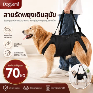 【Doglemi】สายรัดพยุงเดินสุนัข เสื้อกั๊กช่วยเดินสุนัขสูงอายุ สำหรับสุนัขบาดเจ็บข้อสะโพกขาหลัง