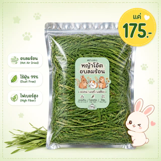 หญ้าโอ้ตอบลมร้อน Oat Hay 250g คัดเกรดพรีเมี่ยม หอมเขียวนุ่มแสนอร่อยมีวิตามินเอสูง อาหารสัตว์เล็ก
