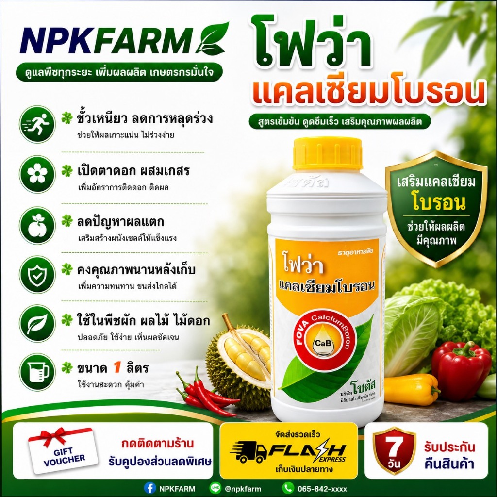 โซตัส โฟว่า แคลเซียมโบรอน ขนาด 1 ลิตร สูตรเข้มข้น เพิ่มผสมเกสร ติดผลดก ขั้วเหนียว ลดหลุดร่วง ขยายผล