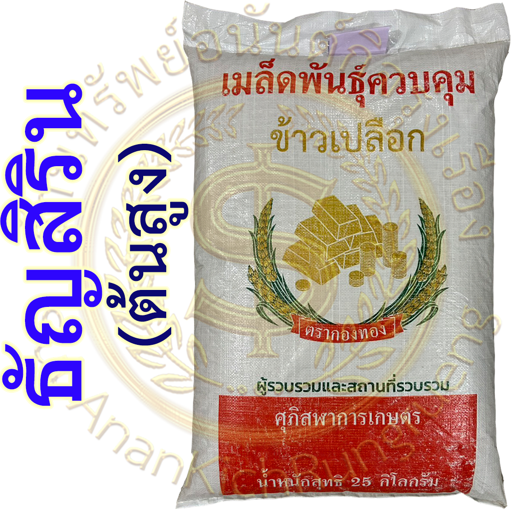 ธัญสิริน เมล็ดพันธ์ข้าวเหนียวธัญสิริน ลำต้นแข็งแรงไม่ล้ม ต้านทานโรคไหม้ หอมนุ่มนาน