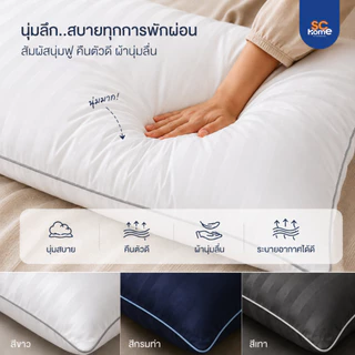 หมอนจัมโบ หมอนหนุนยักษ์ หมอนไซส์ใหญ่ หมอนหนุน รุ่น Combo ขนาด 25x35 นิ้ว ผ้า Microfiber ลายริ้ว นุ่มสบาย ไซส์ใหญ่ๆ