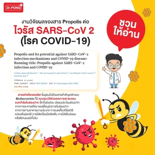 [ขายดี] Dr.PONG Bee Propolis Supermint mouth spray เม้าท์สเปรย์ สำหรับช่องปากและคอ พ่นชุ่มคอ บรรเทาเจ็บคอ