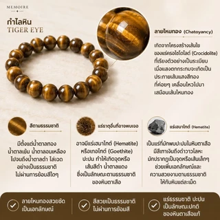 กำไลข้อมือ Tiger Eye พลอยตาเสือแท้ เสริมดวงการเงิน โอกาสดีเข้าหา | MEMOIRE