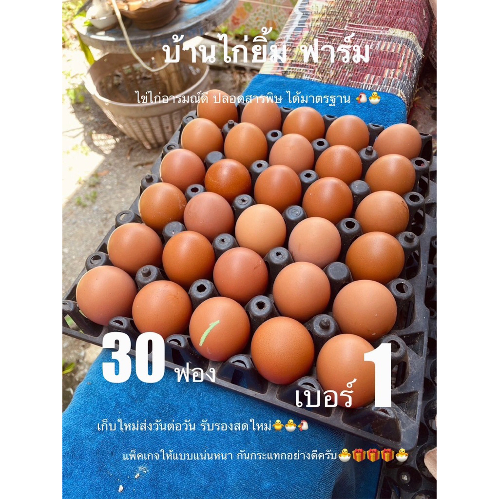 ไข่ไก่ เบอร์1 30ฟอง ส่งฟรีถึงหน้าบ้านจ้าๆ