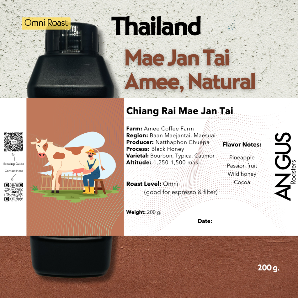 Angus Coffee Roasters เมล็ดกาแฟคั่ว Omni - Mae Jan Tai Amee Natural
