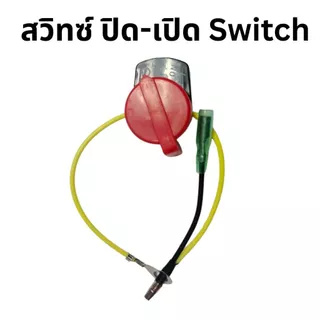สวิตช์ เปิด-ปิด เครื่องยนต์เบนซิน 5.5 6.5 GX160 GX168 SINSHOP