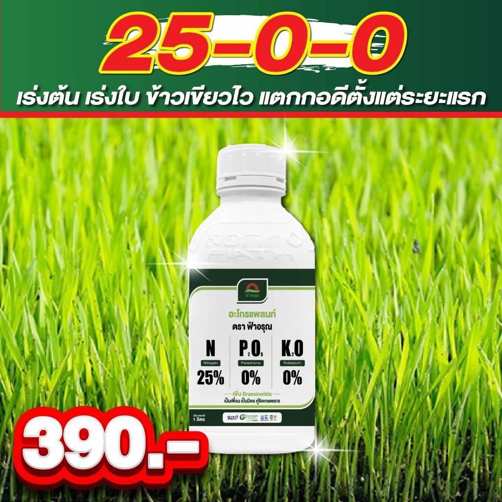 ต้องการข้าวแตกกอ ใบเขียวเข้ม โตไว แตกกอแน่น ไนโตรเจนจัดเต็ม ใบตั้ง ลำต้นอวบ เร่งฟื้นหลังฝนได้เยี่ยม 25-0-0 ตัวแรงแตกกอไว ราคา ถูกที่สุด ดีลบีเคเค รูปภาพหลัก