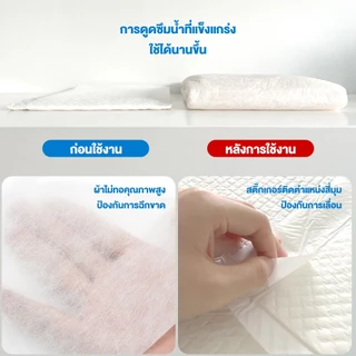 Meowgical x Petcho✨แผ่นรองฉี่ แผ่นรองฉี่สุนัข แผ่นรองซับ ดูดซับเร็ว 6 ชั้น กันรั่ว ดับกลิ่น แห้งไว ช่วยฝึกขับถ่าย